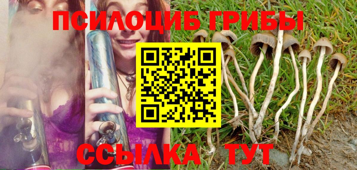 Галлюциногенные грибы Magic Shrooms Кинель